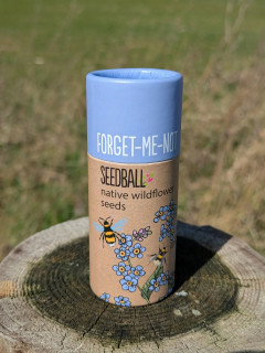 Forget-me-not Seedballs (20 balls)